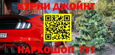 шишки Кинель