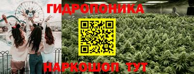 метадон Кингисепп